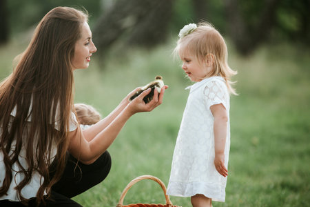 Mother shows children little ducklings in wicker basket. duckling in the hands of a woman. mom shows...