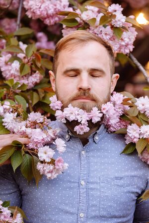 A bearded man with a decorated beard for the Spring holiday. Flower in the beard. Freshness concept. Guy with blooming cherry or sakura flowers in beard. Man with beard and mustache enjoy spring.の写真素材