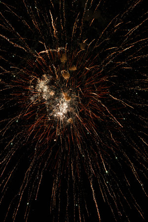 Colorful fireworks on the black sky.