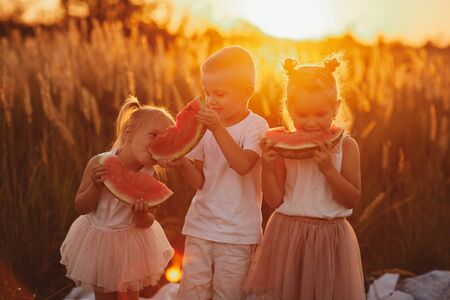 happy kids eating watermelon in summer at sunset in the field. summer picnic. happy childhood. selective focusの写真素材