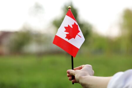 Flag of Canada, National symbol waving against, sunny day. Canada flag in woman hand. selective focus.の写真素材