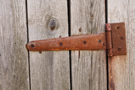 rusted forged curtain on a wooden door. Part old wooden door. Barn. Cracked. The door to the hinges....