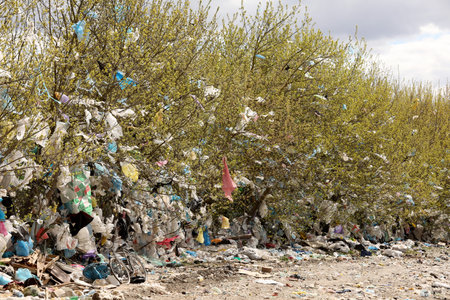 Pile of domestic garbage in landfill dump siteの写真素材
