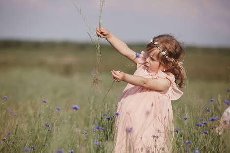 little girl in a wheat field. little girl with a bouquet of wheat in the sunlight. outdoor shot.の写真素材