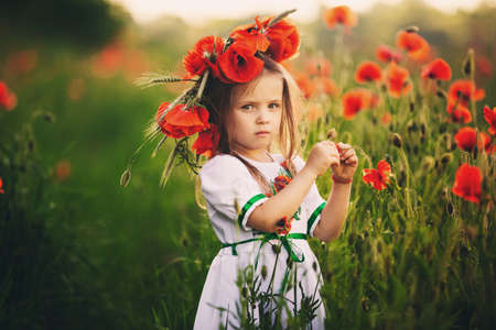 beautiful little girl with a wreath of poppies in a white dress and collects a bouquet of wildflowers. cute child in poppies field.の写真素材
