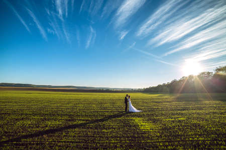 Young wedding couple enjoying romantic moments. Wedding day.の写真素材
