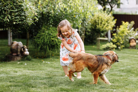 A cute little girl is playing with her pet dog outdooors on grass at home.の写真素材