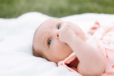 Newborn girl 3 months is lying in a green cabbage. Vegetables. happy childhood.の写真素材