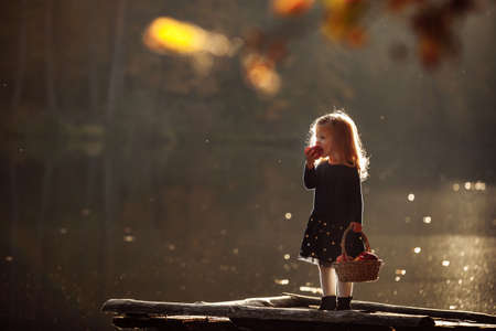 beautiful young girl in the park with apples. Beautiful girl harvests apples. The child holds apples and a basket with apples in his hands. A walk in the gardenの写真素材