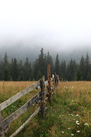 autumn meadow with a old wooden fence on a farm close up, in the Smoky Mountains on a foggy day. travel destination scenic, carpathian mountains.の写真素材