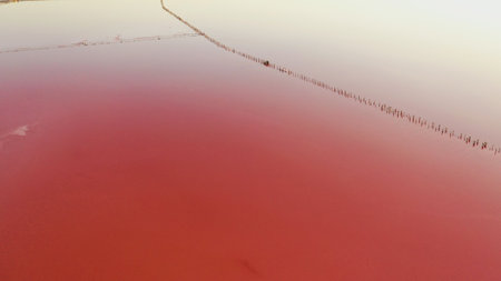 Aerial drone top down photo of a natural pink lake Kuyalnik in Odessa, Ukraine. Lake naturally turns pink due to salts and small crustacean Artemia in the water. This miracle is rare occurrence.の写真素材