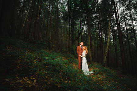 The bride and groom go through the forest hand in hand. Happy bride and groom holding hands and walking in forest on wedding dayの写真素材
