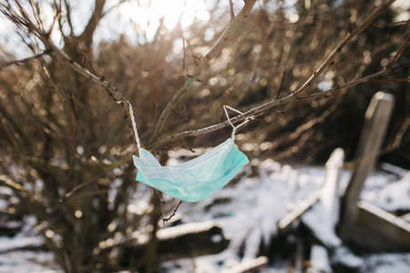 blue used mask on wood, face mask pollution of nature, Discarded coronavirus single-use face masks, Garbage in the streets threatening the environment, a mask on a tree in a park.の写真素材