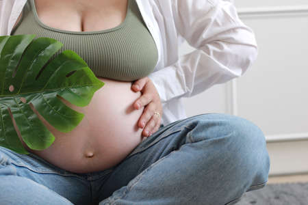 A closeup shot of a Bumblebee on a purple lavender flower with a blurred background. Bombus Terrestris, The Buff-Tailed Bumblebee or Large Earth Bumblebee, Collecting Pollen On Lavandula Angustifolia.の写真素材