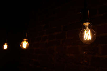 A closeup shot of a Bumblebee on a purple lavender flower with a blurred background. Bombus Terrestris, The Buff-Tailed Bumblebee or Large Earth Bumblebee, Collecting Pollen On Lavandula Angustifolia.の写真素材