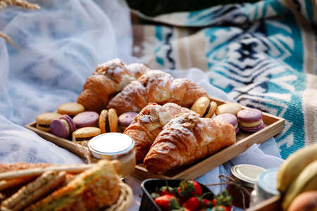Picnic at the park. Fresh berries, bread, jam, ice cold sparkling drinks, colorful macarons and croissants on a hot summer day. Picnic lunch. selective focus.の写真素材