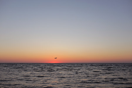 seagulls fly on golden sunset or sunrise at the deep dark ocean. aerial view of sundown and up to the sea. yellow and orange colorful sky. romantic beautiful sky in the spring seasonの写真素材
