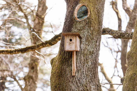 Autumn landscape - a bird feeder in the form of a house hanging on a tree against a background of...