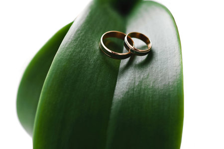 wedding rings on a green leaf.の写真素材
