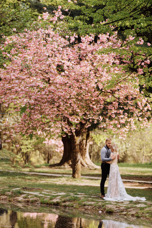Beautiful, cheerful and lively newlyweds, groom and bride are hugging near the blooming pink cherry blossom. Wedding portrait of a close-up of a smiling bearded groom and a cute brideの写真素材
