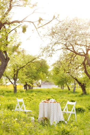 picnic with decorated table with croissants, fruits and drinks in beautiful blossom spring green park, romantic date table food setting for two.の写真素材