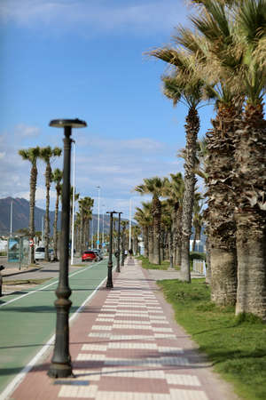 walkway and cycling path with palms in the resort town on summer vacation.の写真素材