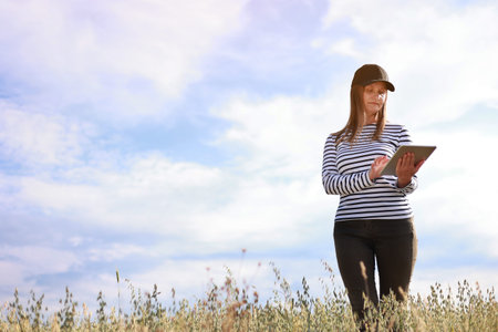 Modern technologies in agriculture, business woman farmer with computer tablet in her hands works in wheat field, checks grain harvest. Agriculture, growing food. Healthy ecological food.の写真素材