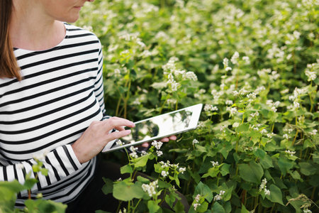 cropped photo of female farmer with a tablet computer in a soy field touches the leaves and writes...