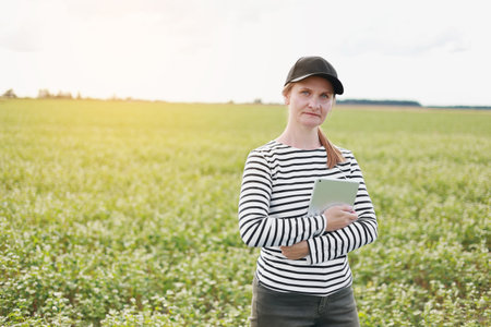 a female agronomist with a tablet checks the growth of a field with buckwheat flowers. the woman examines the field and enters the data into a digital tablet. modern agribusinessの写真素材
