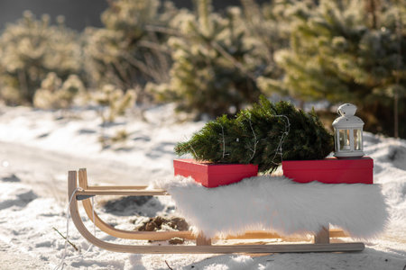 Holidays, presents, new year and celebration concept - red gift boxes, Christmas tree with garland, white lantern on wooden retro sleigh in the winter snowy forest. Festive background, copy space.の写真素材