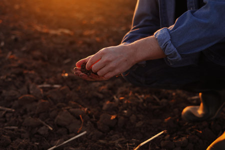 Male farmer's hand holds a handful of dry ground and checks soil fertility and quality before sowing crops on plowed field at sunset. cultivated land. Concept of organic agriculture and agribusiness.の写真素材
