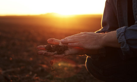 Male farmer's hand holds a handful of dry ground and checks soil fertility and quality before sowing crops on plowed field at sunset. cultivated land. Concept of organic agriculture and agribusiness.の写真素材