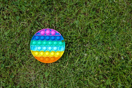 Simple Dimple - round silicone sensory anti-stress Fidget toy multi-colored game on green grass,...