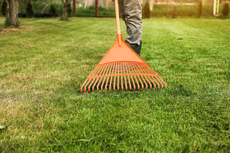 Male gardener collects cut grass with orange plastic rake after a mower, works in the backyard of the house. Man takes care of lawn. Concept of housework, gardening and country life, garden toolsの写真素材