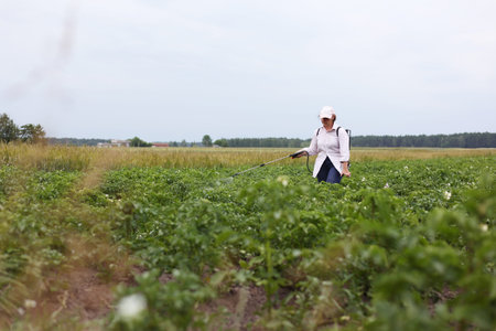 Female farmer with mist sprayer treats the organic potato plantation from pest and fungal...