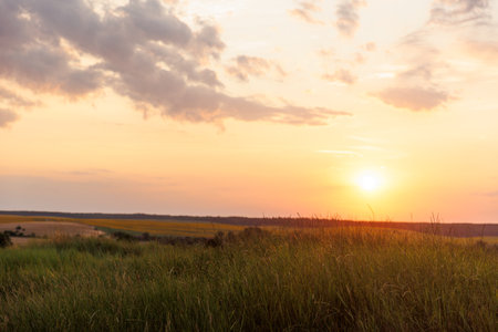 Beautiful natural panoramic countryside landscape at sunset warm summer. Blooming wild high grass in nature at sunset warm summer. pastoral scenery. Cultivated land on background.の写真素材