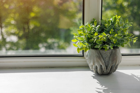 Mini decorative houseplant with a lot of little green leaves in stylish concrete pot with two hands...