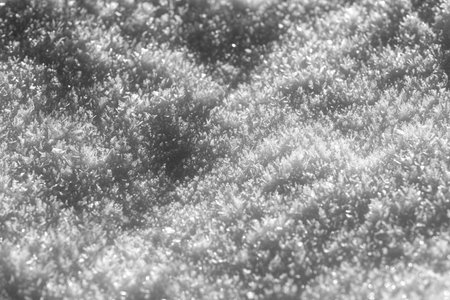 White sparkling snow surface with White shade. Natural fresh shiny fluffy snowflakes texture. Ice crystals in bright sunlight on a bright frosty winter day. White sparkling snow surface close upの写真素材