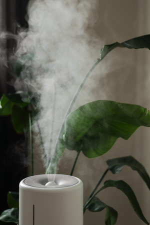 Ultrasonic diffuser, air purifier, humidifier releases stream of cold steam room for proper houseplant growth. Care hydration of plants in dry air. Aroma oil steam aromatherapy. Body health treatment.の写真素材