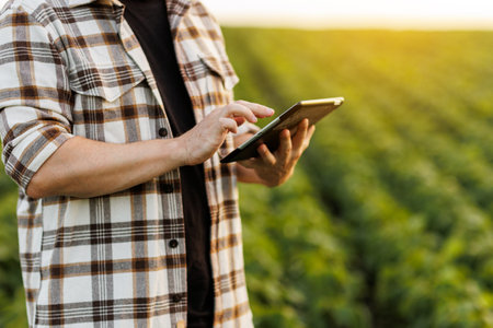 Modern agribusiness. Unrecognisable male farmer uses digital tablet for analysis, checks soybeans plantation. Smart farming technology. Quality control growth and development of sprouts before harvest.の写真素材