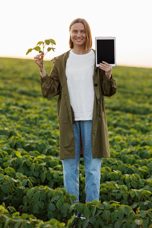 Smiling female agronomist holds digital tablet with mockup screen and soya plant in hand in field, examines, checks, looks at camera. Smart farming soybean technology. Control of growth, development.の写真素材