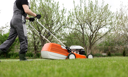 Professional gardener in protective apparel is mowing green grass lawn using modern gasoline cordless lawnmower at backyard. Seasonal landscaping design work. Blooming trees on background.の写真素材