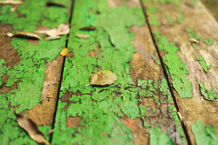 Autumn bright backdrop with arch of trees and old wooden table of boards with cracked green paint and yellow fallen leaves on it. Shabby grunge wood panels. Fall season concept in parkの写真素材
