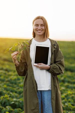 Smiling female agronomist holds digital tablet with mockup screen and soya plant in hand in field, examines, checks, looks at camera. Smart farming soybean technology. Control of growth, development.の写真素材
