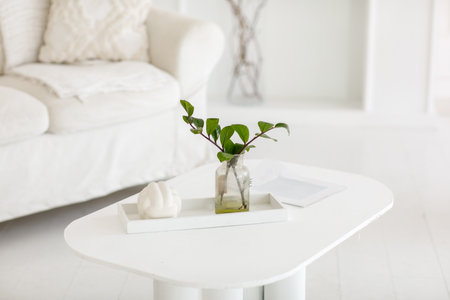 Scandinavian interior of light living room with modern white coffee table, fresh green twigs plant in glass vase, tray, journal and personal decor, soft sofa, plaid and pillow. Stylish home decorの写真素材