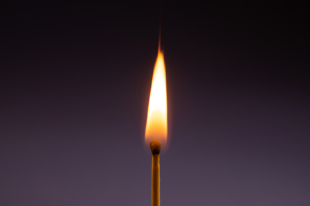 Single match burning on the violet backgroundの写真素材