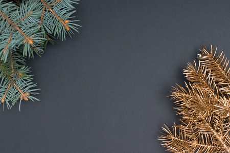 Green and golden Christmas tree branches in corners of black background with copy spaceの写真素材