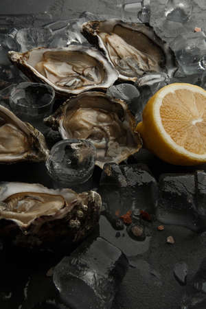 Fresh Oysters close-up on dark background, served table with oysters, lemon and ice. Healthy sea food. gourmet food. top viewの写真素材