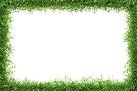 A lush green grass border frames a central white space, ideal for eco-themed messages and designs. 3D Render illustrationの写真素材