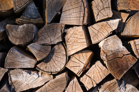 A pile of stacked firewood, prepared for heating the house. Firewood harvested for heating in winter